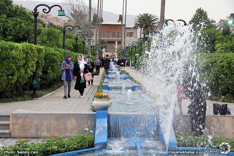گزارش تصویری/ جشنواره بهار نارنج در شیراز