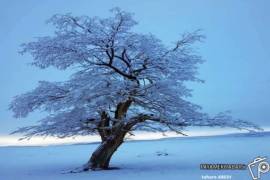 گزارش تصویری| برف زمستانی در بوانات