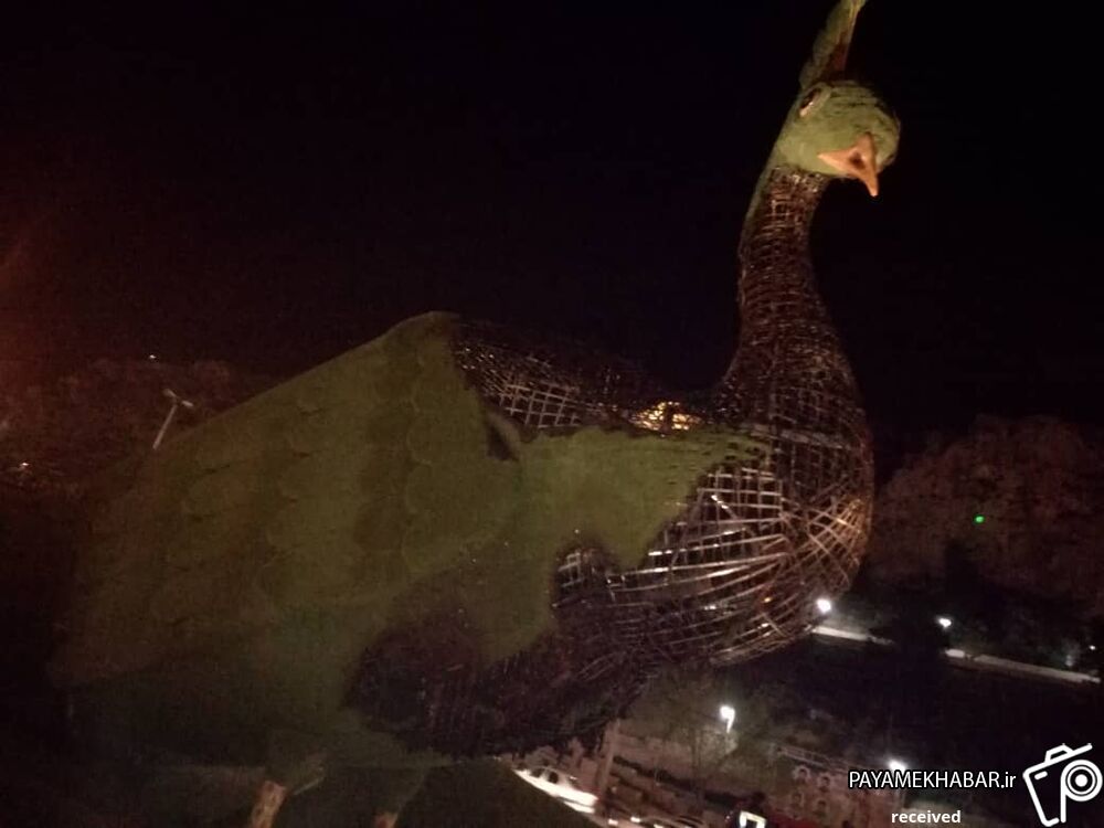 آتش فقر فرهنگی که به جان طاووس افتاد