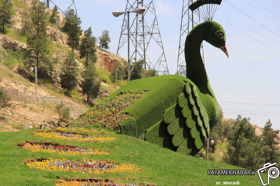 طاووس ورودی شیراز به زودی نصب و جایگزین طاووس کنونی می شود