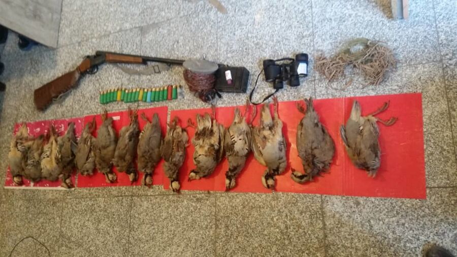 دستگیری 4 نفر شکارچی در ارتفاعات کوه وراوی شهرستان مهر