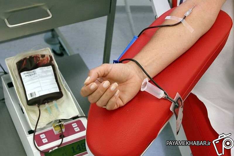 انجام 12 هزار پیوند سلول‌های بنیادی خونساز در ایران