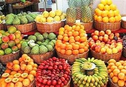 خوردن 10 نوع میوه‌ای که در تابستان توصیه می‌شود
