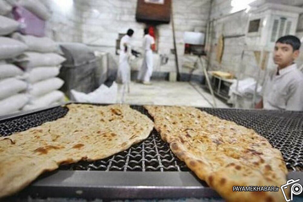 سه هزار و 400 نانوایی در فارس وجود دارد