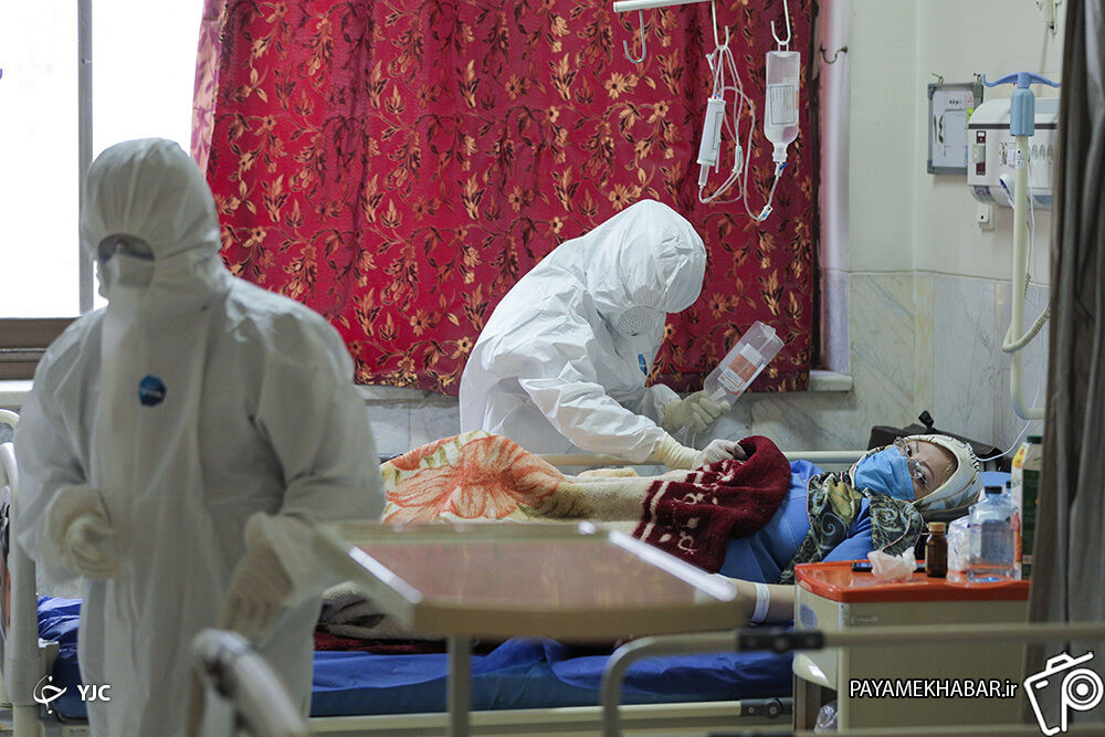 170 پزشک و پرستار قمی حین خدمت به ویروس کرونا مبتلا شدند