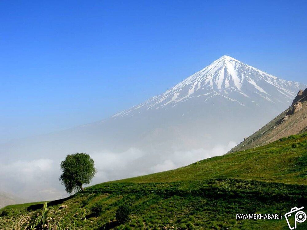 کوه هوا، در جنوب فارس و افزایش چشمگیر حیات وحش