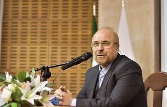 رئیس مجلس شورای اسلامی در مراسم دومین سالگرد شهادت سردار سلیمانی در نیریز سخنرانی می کند
