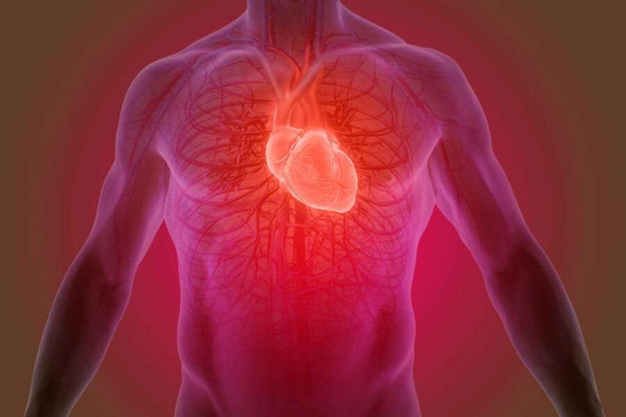 بررسی رویکردی جدید برای ترمیم ساختار و عملکرد قلب آسیب دیده