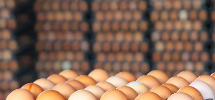قیمت هر شانه تخم مرغ به 40 هزارتومان رسید!