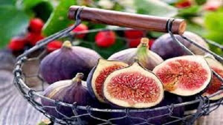 تشکیل میز تخصصی صادرات انجیر در فارس