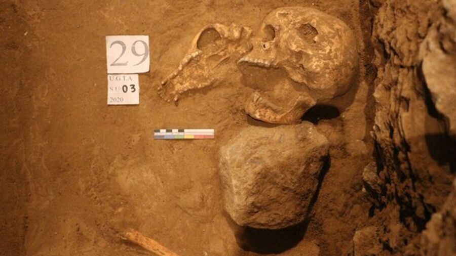 سرنوشت استخوان‌های باستانی تخت‌جمشید، نامعلوم در پیچ‌وخم‌ اداری