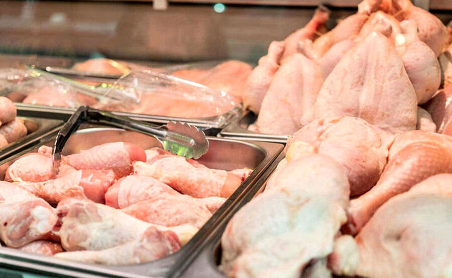 ادامه کمبود مرغ در فارس/رصد خودروهای حمل مرغ