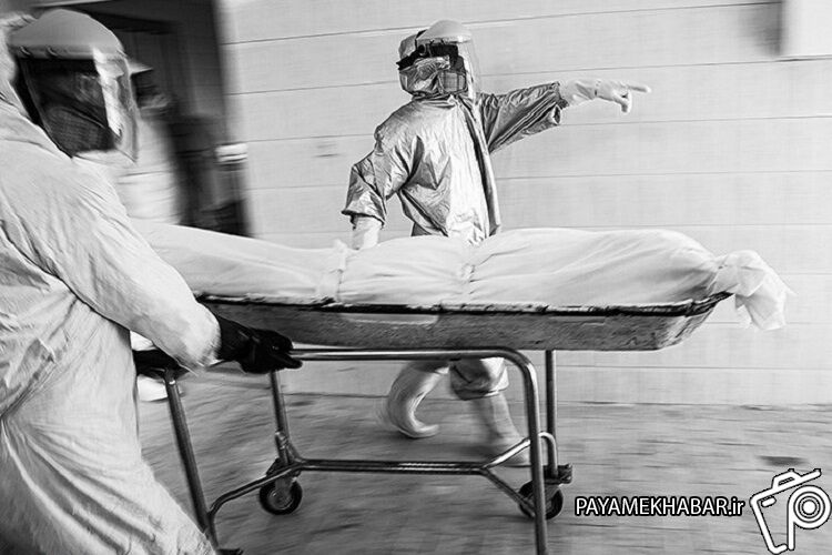 655 بیمار کرونا در کشور جان خود را از دست دادند
