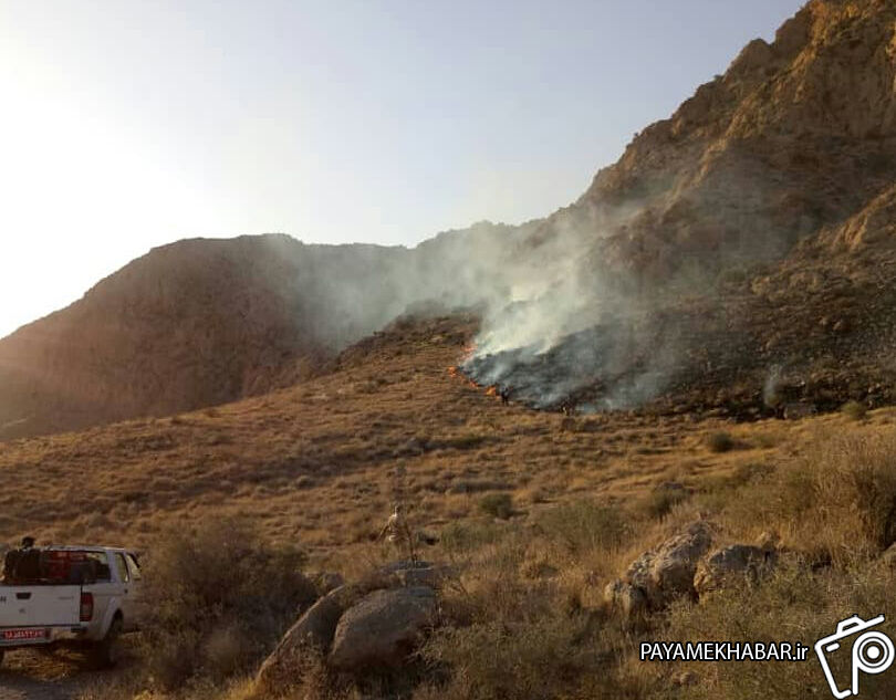 آتش سوزی چشمه آب بز در پارک ملی بمو مهار شد