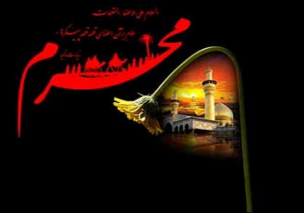 شرکت مراکز دینی و هیئات مذهبی شیراز در طرح «شهید سلیمانی»