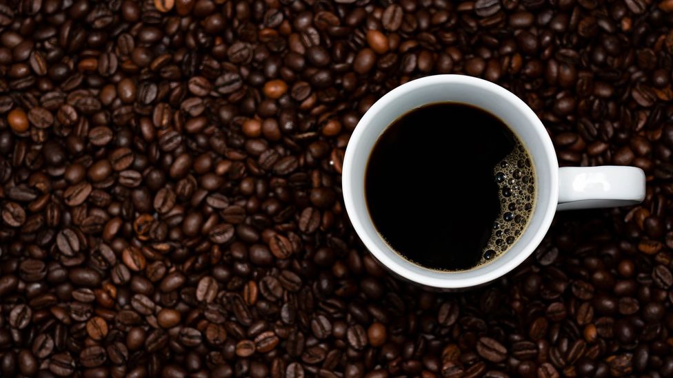  تفاله قهوه کود خوبی برای باغچه است
