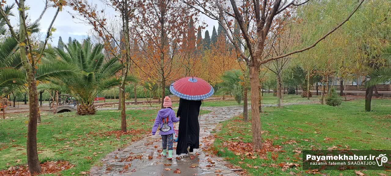 هوای شیراز بارانی می شود