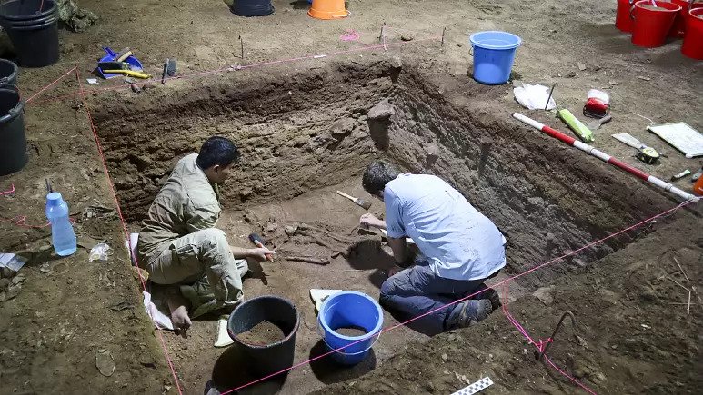 کشف بقایای جراحی قطع عضو در 31 هزار سال قبل