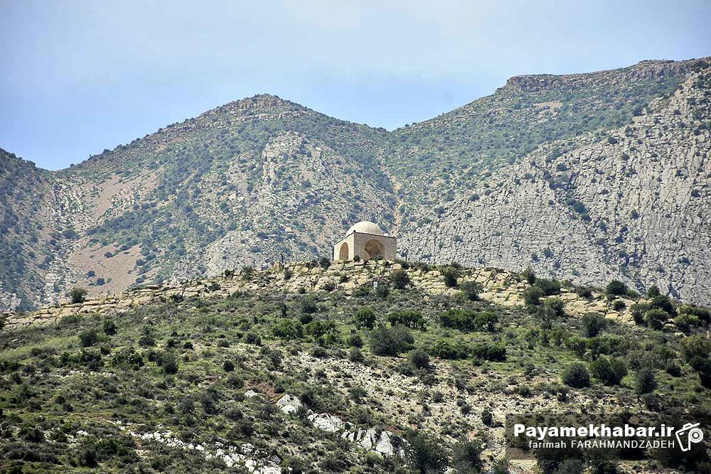 پیشبرد برنامه‌های فرهنگی و محیط‌زیستی در ارتفاعات شیراز با مشارکت شهروندان