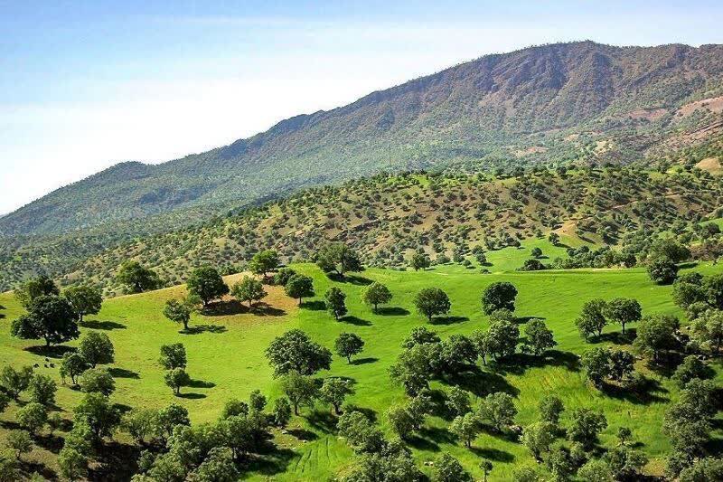 بازدید سرزده بازرسان از پارک ملی بمو در نوروز