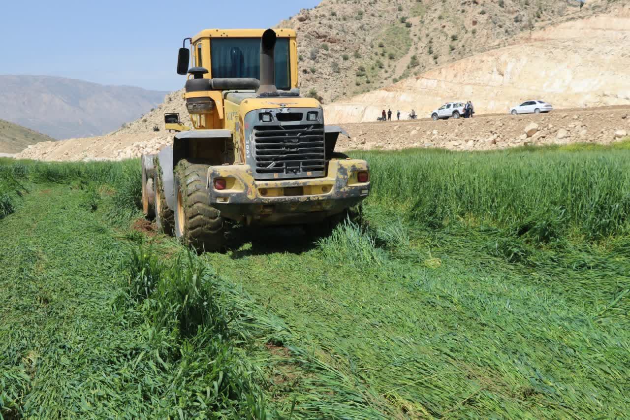 با دستور قضایی؛