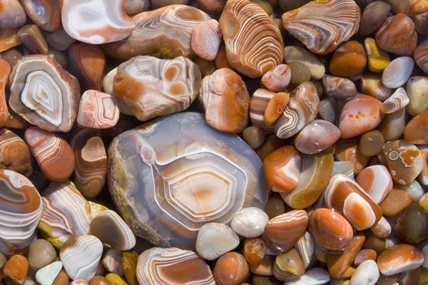 برگزاری جلسه پایش خوشه صنعتی سنگ نی‌ریز با تاکید بر توسعه و ارتقای صنعت سنگ
