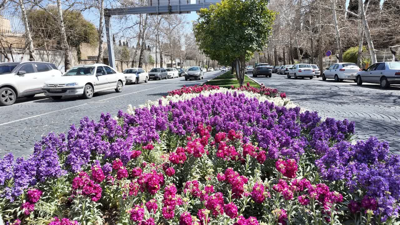 یک میلیون گل گلدانی برای کاشت در نقاط مختلف شیراز تامین شده است