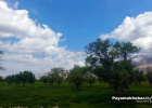 گزارش تصویری| طبیعت زیبای فارس