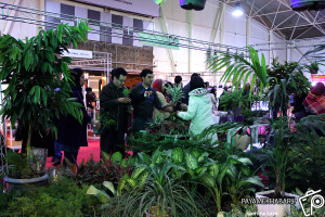 برگزاری هجدهمین نمایشگاه گل و گیاه در شیراز 
