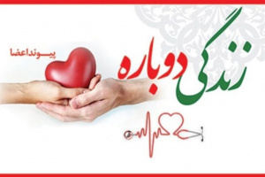 رتبه دوم دانشگاه علوم پزشکی شیراز در اهدای عضو