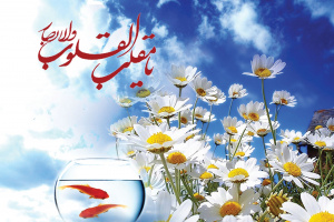ویژه‌برنامه لحظه تحویل سال را در هفت نقطه تاریخی، گردشگری و مذهبی شیراز