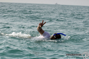 گزارش تصویری| شنای جانبازان فارس در خلیج فارس به مناسبت سالروز سقوط هواپیمای مسافربری