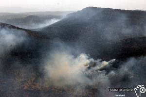 گزارش تصویری| آتش سوزی درختان بلوط منطقه نورآباد ممسنی و کمک رسانی پایگاه شکاری شهید دوران