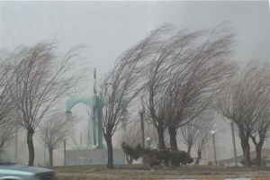 وزش باد شدید و خیزش گرد و خاک در فارس؛دمای هوا کاهش پیدا می کند