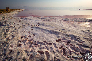 دریاچه مهارلو به طور کامل خشک نشده؛ نم آب موجود در مهارلو باعث می شود ریزگرد ایجاد نشود
