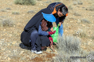 همت کودکان برای احیای جنگل سوخته کوهمره شیراز