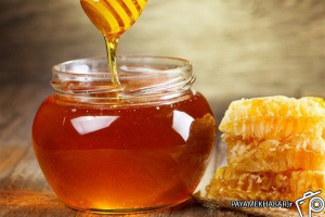 تولید سالیانه بیش از 12 هزار تن عسل در استان فارس