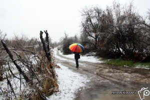 فیلم/ بارش برف در شیراز ۲ بهمن ۹۸
