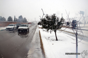 ورود سامانه بارش برف و باران به فارس/احتمال برفی شدن شیراز