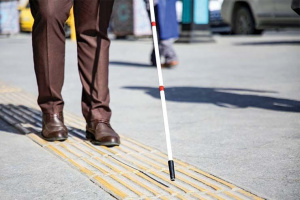 بالغ بر 19هزار معلول بینایی تحت پوشش بهزیستی استان فارس هستند