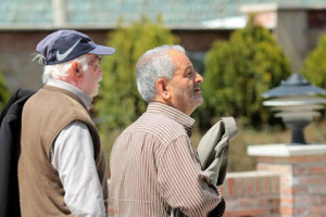 ۲۵ درصد از جمعیت سالمندان استان فارس تحت حمایت کمیته امداد هستند