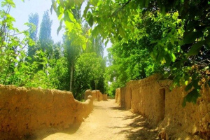 حفظ باغ‌های شیراز و جلوگیری از تخریب آن ها در دستور کار استانداری فارس