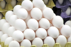 تخم مرغ به اندازه کافی عرضه نمی شود