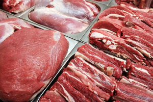 زنگ خطر تب کریمه کنگو در فارس؛ گوشت را ازقصابی های بین راهی خریداری نکنید