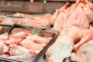 توزیع مرغ گرم فقط با قیمت مصوب