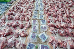 توزیع گوشت گرم گوساله با قیمت تنظیم بازار استان مرکزی آغاز شد