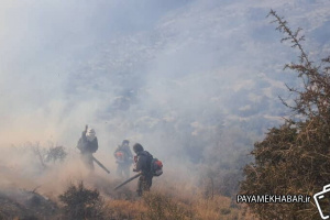 آتش سوزی در منطقه حفاظت شده دشت ارژن مهار شد