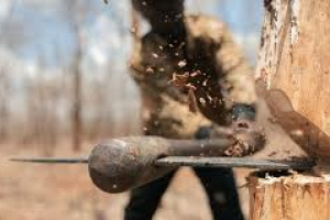 3 باند قطع کننده درخت در منطقه حفاظت شده ارژن دستگیر شدند