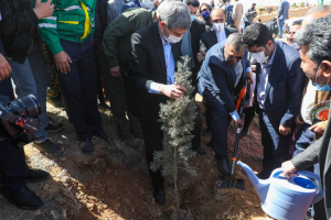 آیین بزرگداشت روز ملی درختکاری در شیراز برگزار شد
