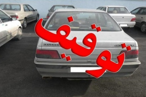 22 هزار وسیله نقلیه توقیفی در پارکینگ های انتظامی سطح استان فارس تعیین تکلیف شد